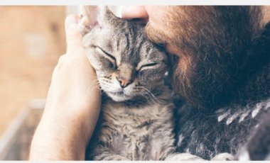 Pet food with Healthy coat